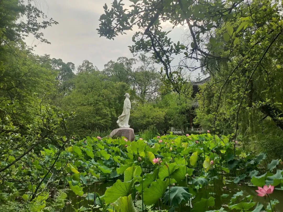 從李白故里出發(fā)，乘長(zhǎng)風(fēng)、赴萬(wàn)里！